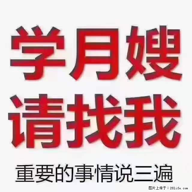 为什么要学习月嫂,育婴师? - 其他广告 - 广告专区 - 滨州分类信息 - 滨州28生活网 bz.28life.com