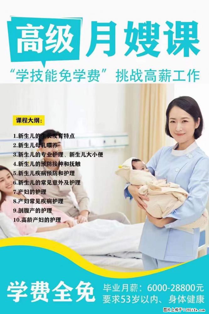 为什么要学习月嫂,育婴师? - 其他广告 - 广告专区 - 滨州分类信息 - 滨州28生活网 bz.28life.com