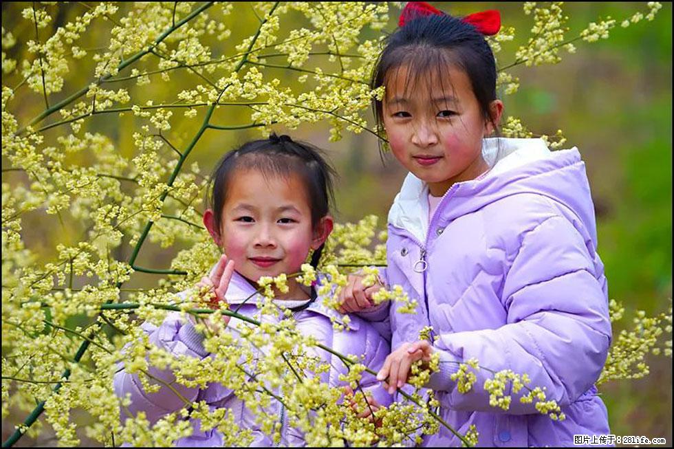 【春天，广西桂林灌阳县向您发出邀请！】米珠山前有片山苍子花在飘香 - 游山玩水 - 滨州生活社区 - 滨州28生活网 bz.28life.com