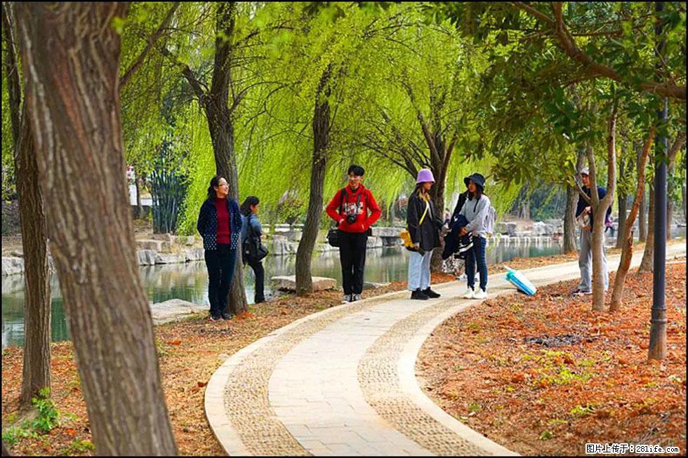 【春天,广西桂林灌阳县向您发出邀请!】江口老街又逢春 - 游山玩水 - 滨州生活社区 - 滨州28生活网 bz.28life.com