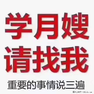 为什么要学习月嫂,育婴师? - 滨州28生活网 bz.28life.com