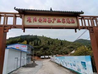 【灌阳县油茶产业示范区】一个有着充实的精神生活的人,对待身外之物自会有一种淡泊的态度 - 滨州28生活网 bz.28life.com