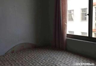 黄河五路渤海六路便宜的一室一厅出租,拎包入住,适合小白领上班 - 滨州28生活网 bz.28life.com