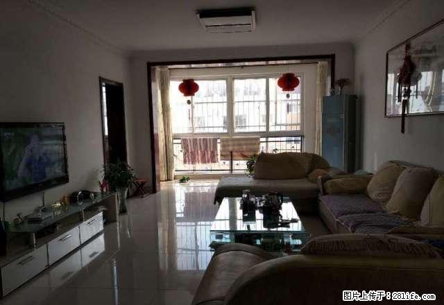 黄十渤十吉太阳光 紧邻万达六中 12平精装 家具齐全 拎包住 - 房屋出租 - 房屋租售 - 滨州分类信息 - 滨州28生活网 bz.28life.com