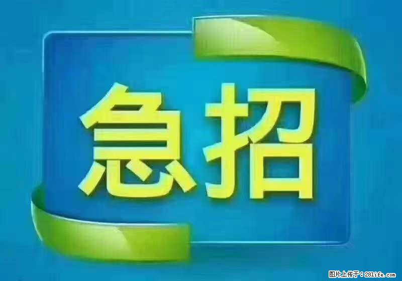 招出纳8000元/月，无证可以，要有相关经验，上海五险一金，包住，包工作餐，做六休一。 - 人事/行政/管理 - 招聘求职 - 滨州分类信息 - 滨州28生活网 bz.28life.com