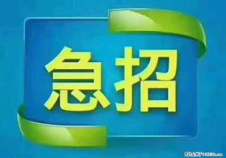 招出纳8000元/月，无证可以，要有相关经验，上海五险一金，包住，包工作餐，做六休一。 - 滨州28生活网 bz.28life.com