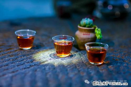 时间果百年古树2025年春红茶 - 购物交流 - 滨州生活社区 - 滨州28生活网 bz.28life.com