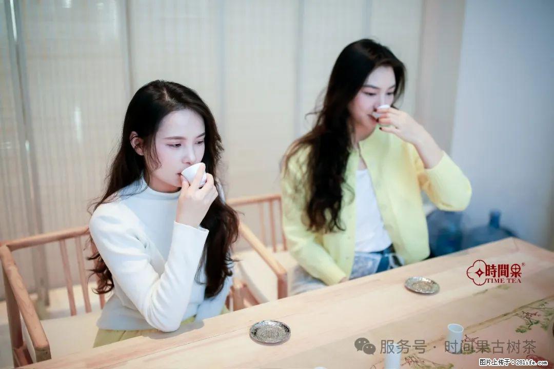 时间果百年古树龙珠普洱生茶 - 购物交流 - 滨州生活社区 - 滨州28生活网 bz.28life.com