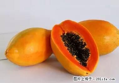 晕车、脚气、牙齿变黄、皮肤粗糙?学会这些三分钟搞定! - 滨州生活资讯 - 滨州28生活网 bz.28life.com