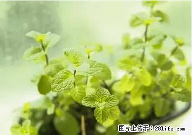 晕车、脚气、牙齿变黄、皮肤粗糙?学会这些三分钟搞定! - 滨州生活资讯 - 滨州28生活网 bz.28life.com
