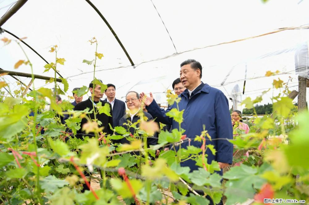 习近平赴广西考察调研 - 滨州生活资讯 - 滨州28生活网 bz.28life.com