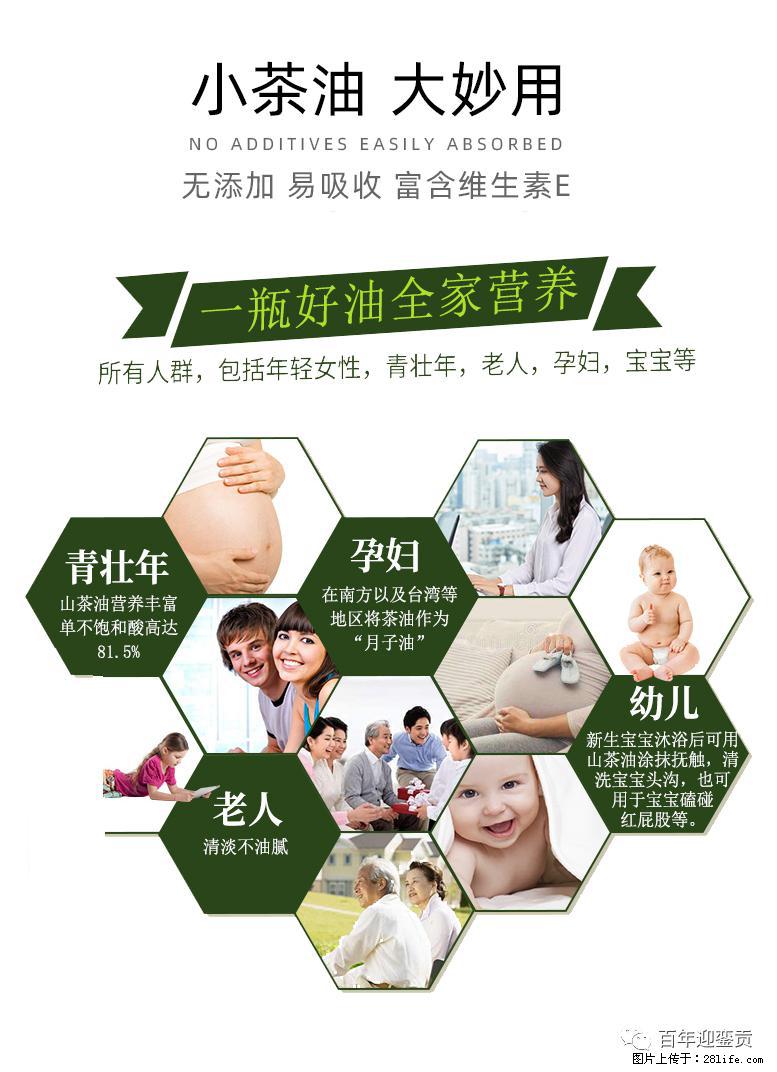 世界没有真相,只有认知,最好的食用油是中国的山茶油! - 滨州生活资讯 - 滨州28生活网 bz.28life.com