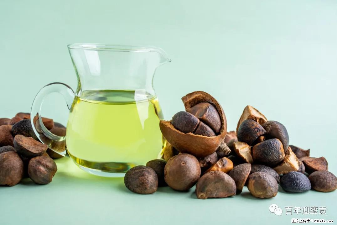 世界没有真相,只有认知,最好的食用油是中国的山茶油! - 滨州生活资讯 - 滨州28生活网 bz.28life.com