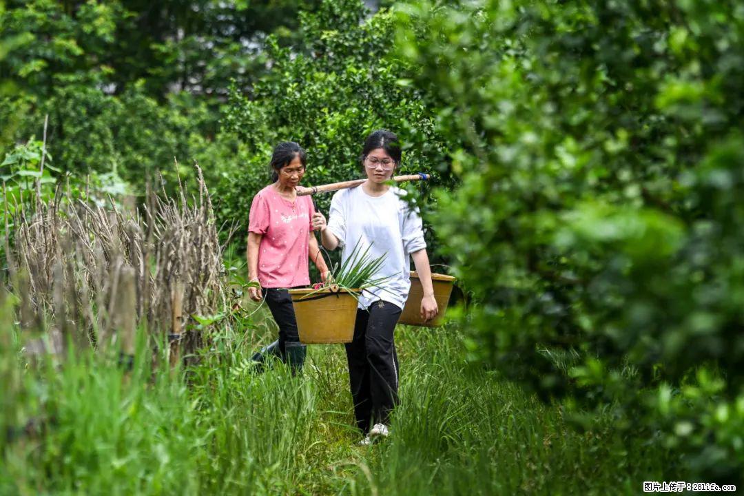全网追的“扁担女孩”，找了一份暑假工，时薪12元 - 滨州生活资讯 - 滨州28生活网 bz.28life.com