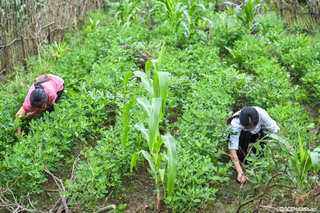 全网追的“扁担女孩”，找了一份暑假工，时薪12元 - 滨州生活资讯 - 滨州28生活网 bz.28life.com