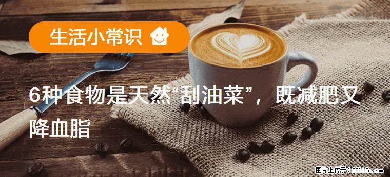 【生活小常识】6种食物是天然“刮油菜”，既减肥又降血脂 - 滨州生活资讯 - 滨州28生活网 bz.28life.com