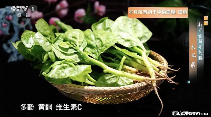 比牛奶补钙还厉害！凉血解毒、稳血糖...这菜冬天必吃，很多人却当草 - 滨州生活资讯 - 滨州28生活网 bz.28life.com