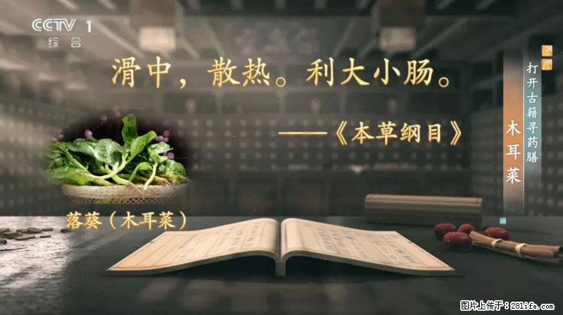 比牛奶补钙还厉害！凉血解毒、稳血糖...这菜冬天必吃，很多人却当草 - 滨州生活资讯 - 滨州28生活网 bz.28life.com