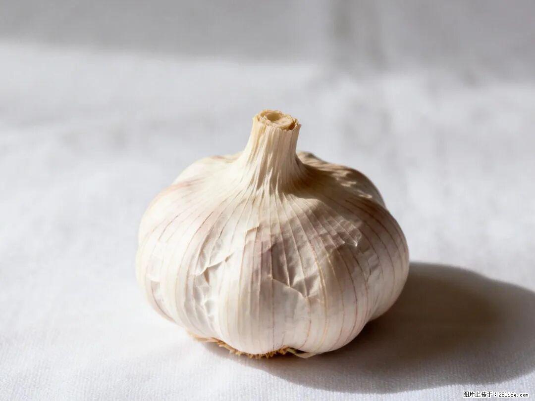 关于大蒜,除了“天然抗生素”,这4个谣言更该警惕! - 滨州生活资讯 - 滨州28生活网 bz.28life.com