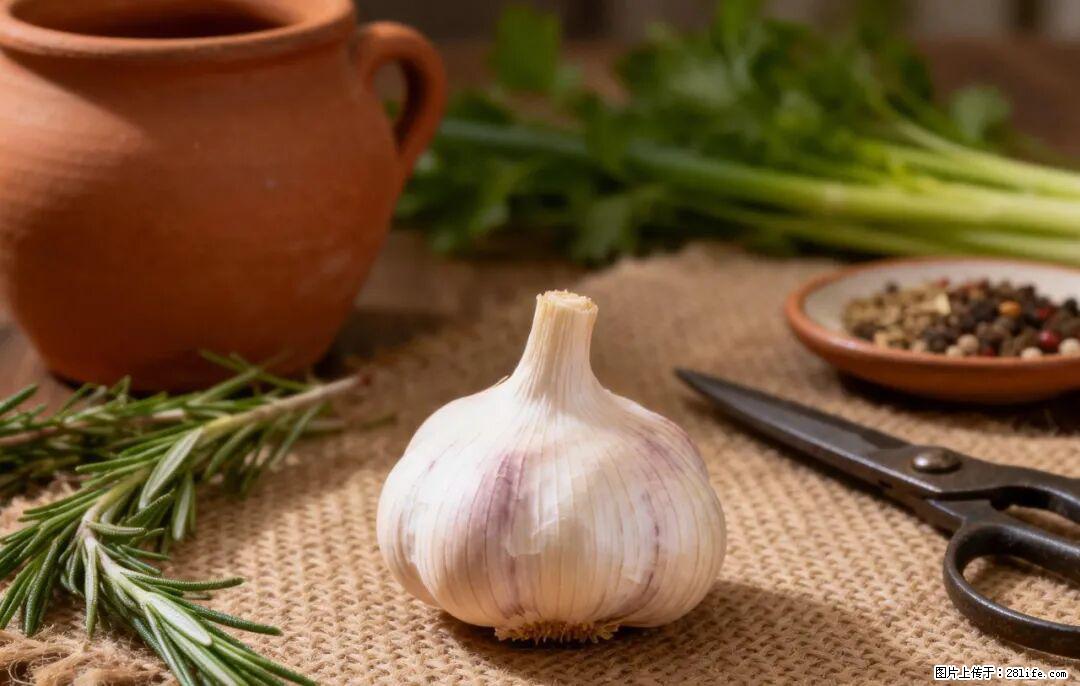 关于大蒜,除了“天然抗生素”,这4个谣言更该警惕! - 滨州生活资讯 - 滨州28生活网 bz.28life.com