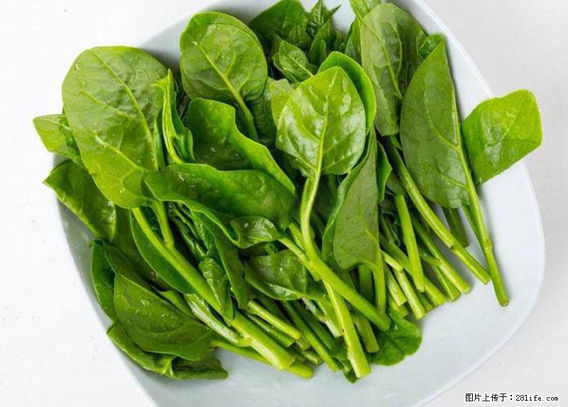 这些蔬菜是“天然钙片”，这6种被医生重点推荐 - 滨州生活资讯 - 滨州28生活网 bz.28life.com