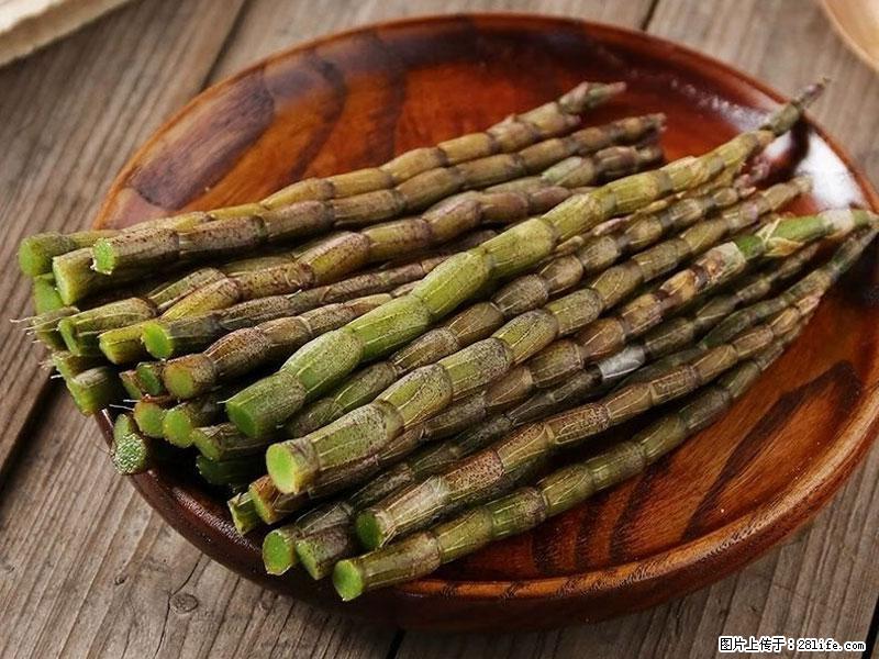 铁皮石斛的作用与功能主治 - 滨州生活资讯 - 滨州28生活网 bz.28life.com