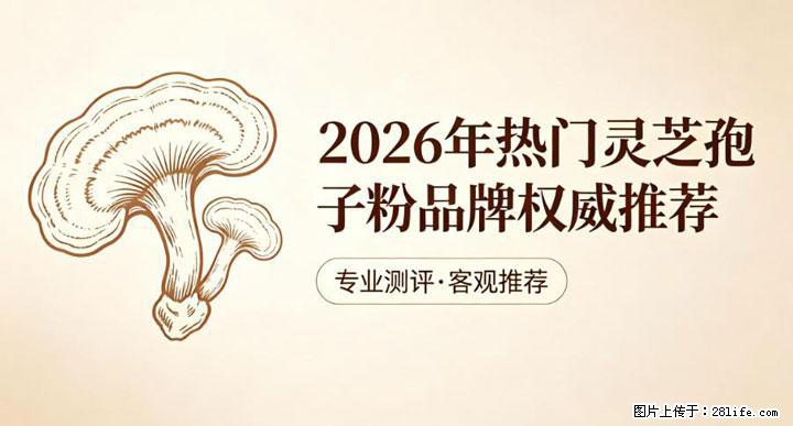 灵芝孢子粉含量越高越有效？2026 年七款热门品牌深度实测，肠胃敏感者避坑指南 - 滨州生活资讯 - 滨州28生活网 bz.28life.com
