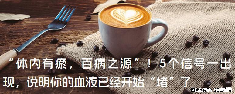 “体内有瘀,百病之源”!5个信号一出现,说明你的血液已经开始“堵”了 - 滨州生活资讯 - 滨州28生活网 bz.28life.com